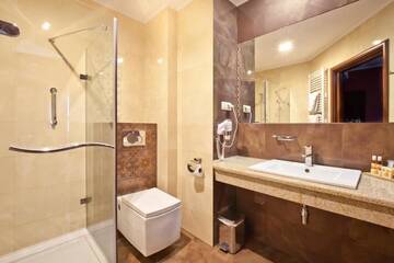 Фото номера Двухместный номер с 1 кроватью Отель Artis Hotel &amp; Spa г. Замосць 10