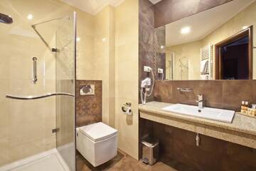 Фото номера Двухместный номер с 1 кроватью Отель Artis Hotel &amp; Spa г. Замосць 4